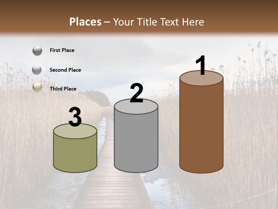 Rural Marshland Perspective PowerPoint Template