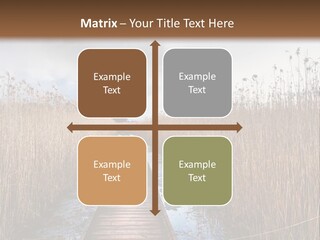 Rural Marshland Perspective PowerPoint Template