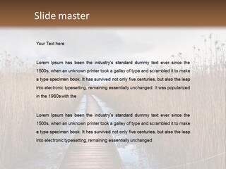 Rural Marshland Perspective PowerPoint Template