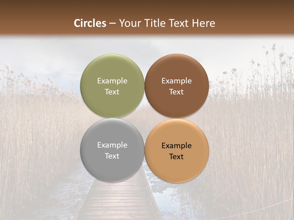 Rural Marshland Perspective PowerPoint Template