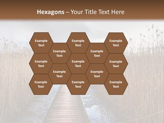 Rural Marshland Perspective PowerPoint Template