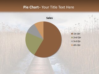 Rural Marshland Perspective PowerPoint Template
