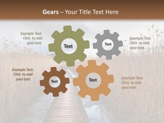 Rural Marshland Perspective PowerPoint Template