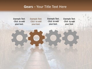 Rural Marshland Perspective PowerPoint Template