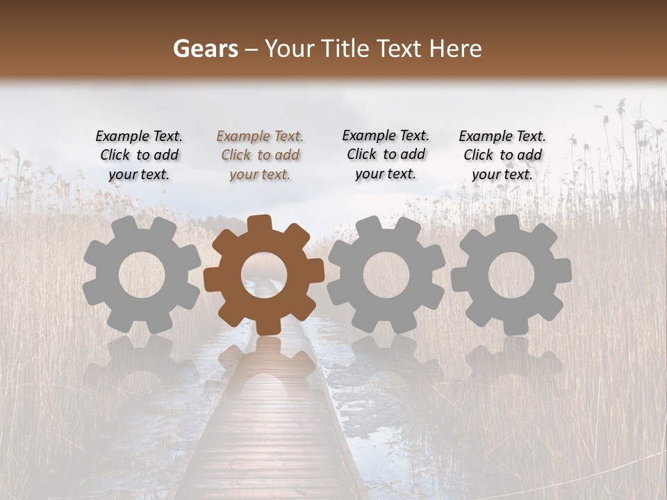 Rural Marshland Perspective PowerPoint Template