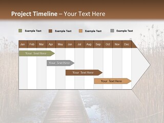 Rural Marshland Perspective PowerPoint Template