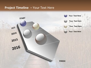 Rural Marshland Perspective PowerPoint Template