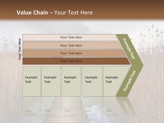 Rural Marshland Perspective PowerPoint Template