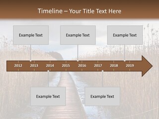 Rural Marshland Perspective PowerPoint Template