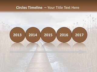 Rural Marshland Perspective PowerPoint Template