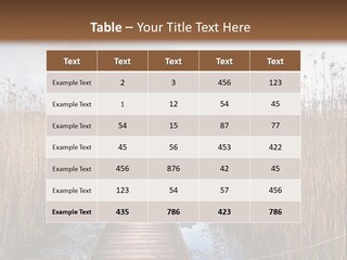 Rural Marshland Perspective PowerPoint Template