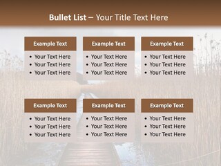 Rural Marshland Perspective PowerPoint Template