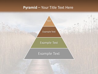 Rural Marshland Perspective PowerPoint Template