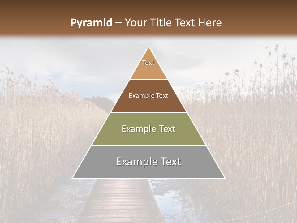 Rural Marshland Perspective PowerPoint Template