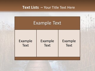 Rural Marshland Perspective PowerPoint Template