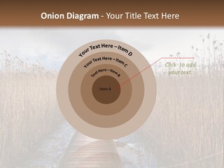 Rural Marshland Perspective PowerPoint Template