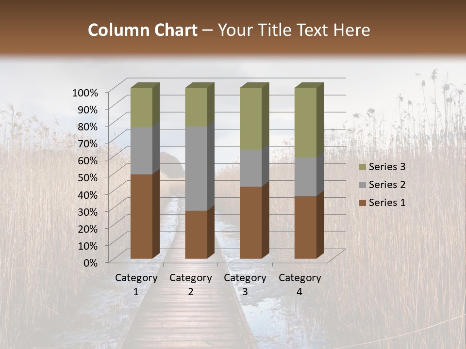 Rural Marshland Perspective PowerPoint Template