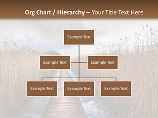 Rural Marshland Perspective PowerPoint Template