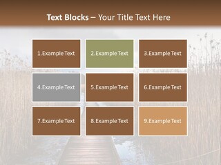 Rural Marshland Perspective PowerPoint Template