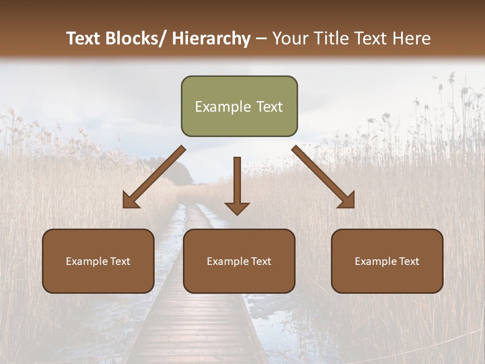 Rural Marshland Perspective PowerPoint Template