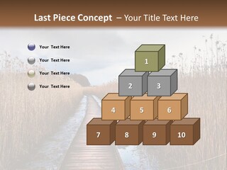 Rural Marshland Perspective PowerPoint Template