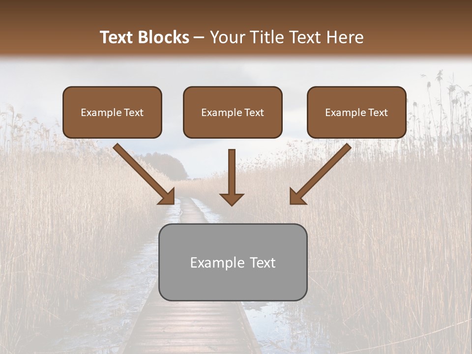 Rural Marshland Perspective PowerPoint Template