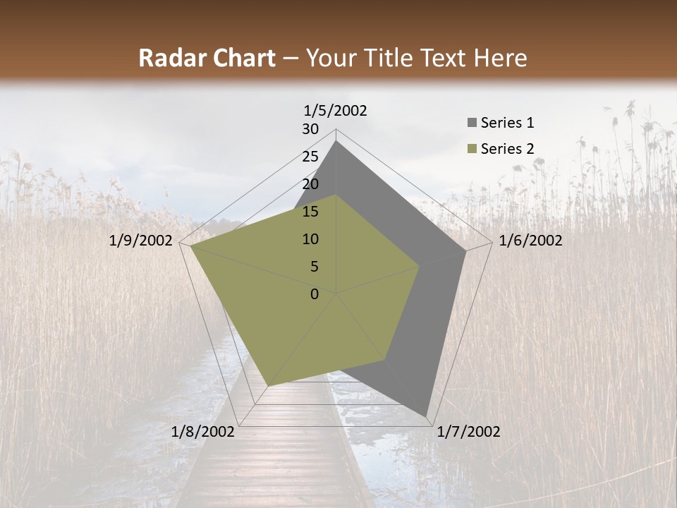 Rural Marshland Perspective PowerPoint Template