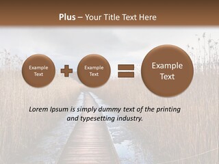 Rural Marshland Perspective PowerPoint Template