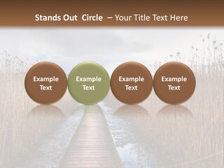 Rural Marshland Perspective PowerPoint Template