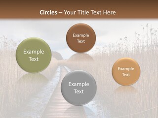 Rural Marshland Perspective PowerPoint Template