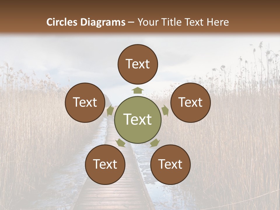 Rural Marshland Perspective PowerPoint Template