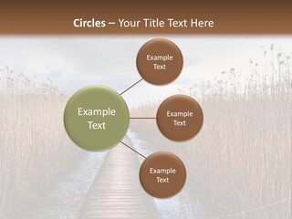 Rural Marshland Perspective PowerPoint Template