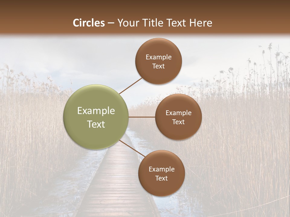 Rural Marshland Perspective PowerPoint Template