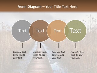 Rural Marshland Perspective PowerPoint Template