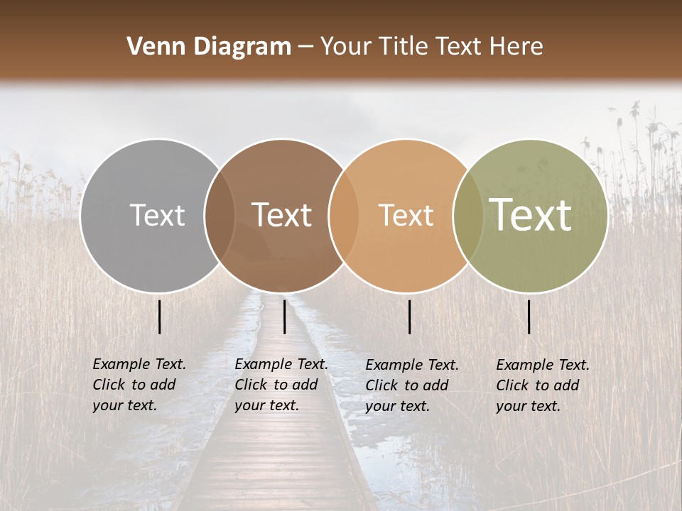 Rural Marshland Perspective PowerPoint Template