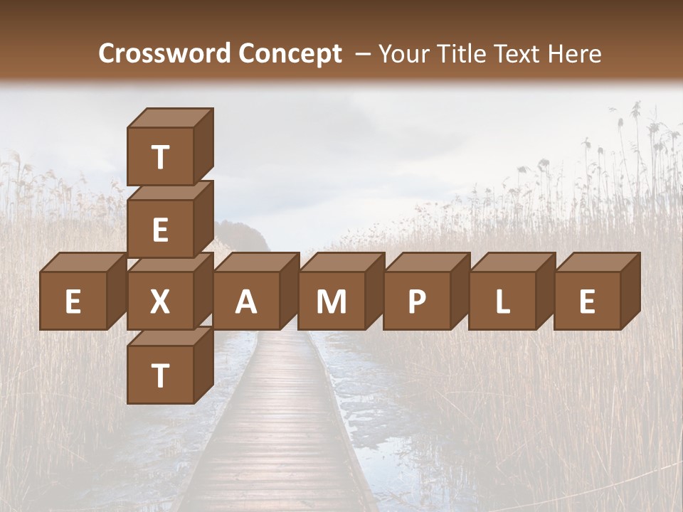 Rural Marshland Perspective PowerPoint Template