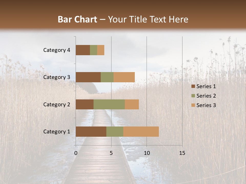 Rural Marshland Perspective PowerPoint Template