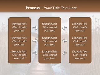 Rural Marshland Perspective PowerPoint Template