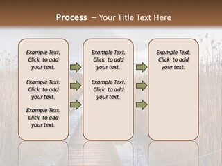 Rural Marshland Perspective PowerPoint Template