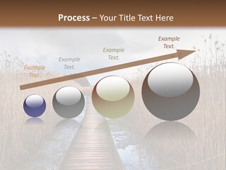 Rural Marshland Perspective PowerPoint Template