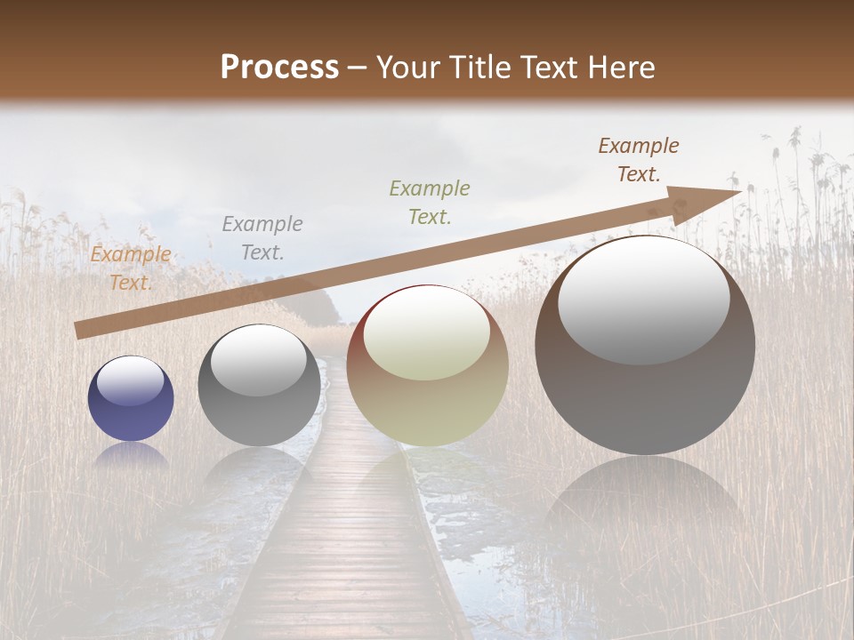 Rural Marshland Perspective PowerPoint Template