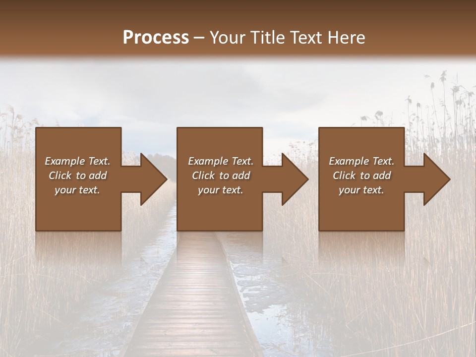 Rural Marshland Perspective PowerPoint Template