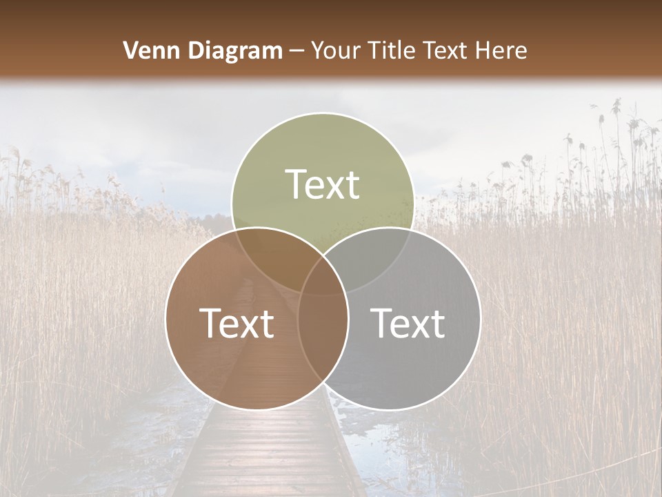 Rural Marshland Perspective PowerPoint Template
