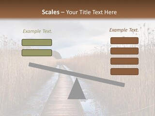 Rural Marshland Perspective PowerPoint Template