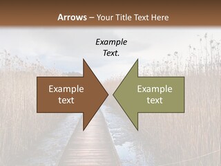 Rural Marshland Perspective PowerPoint Template