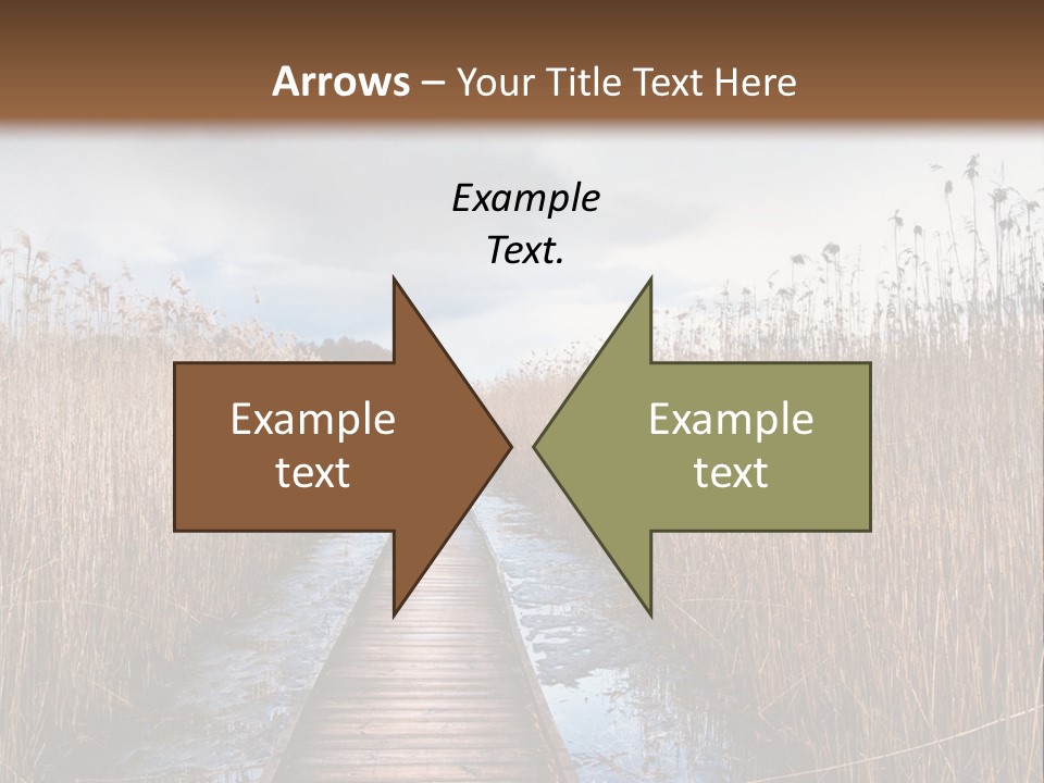 Rural Marshland Perspective PowerPoint Template