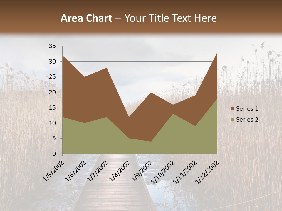 Rural Marshland Perspective PowerPoint Template