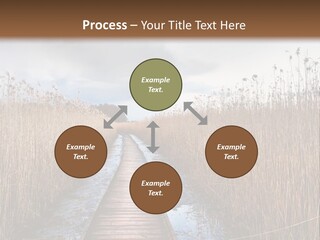 Rural Marshland Perspective PowerPoint Template
