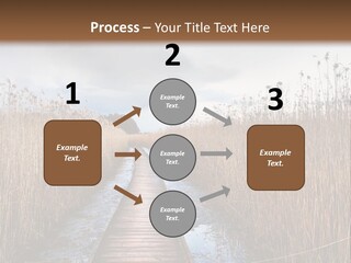 Rural Marshland Perspective PowerPoint Template
