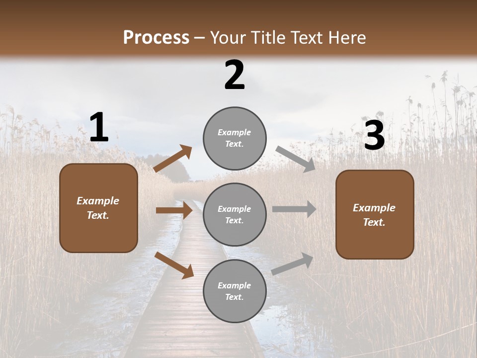 Rural Marshland Perspective PowerPoint Template
